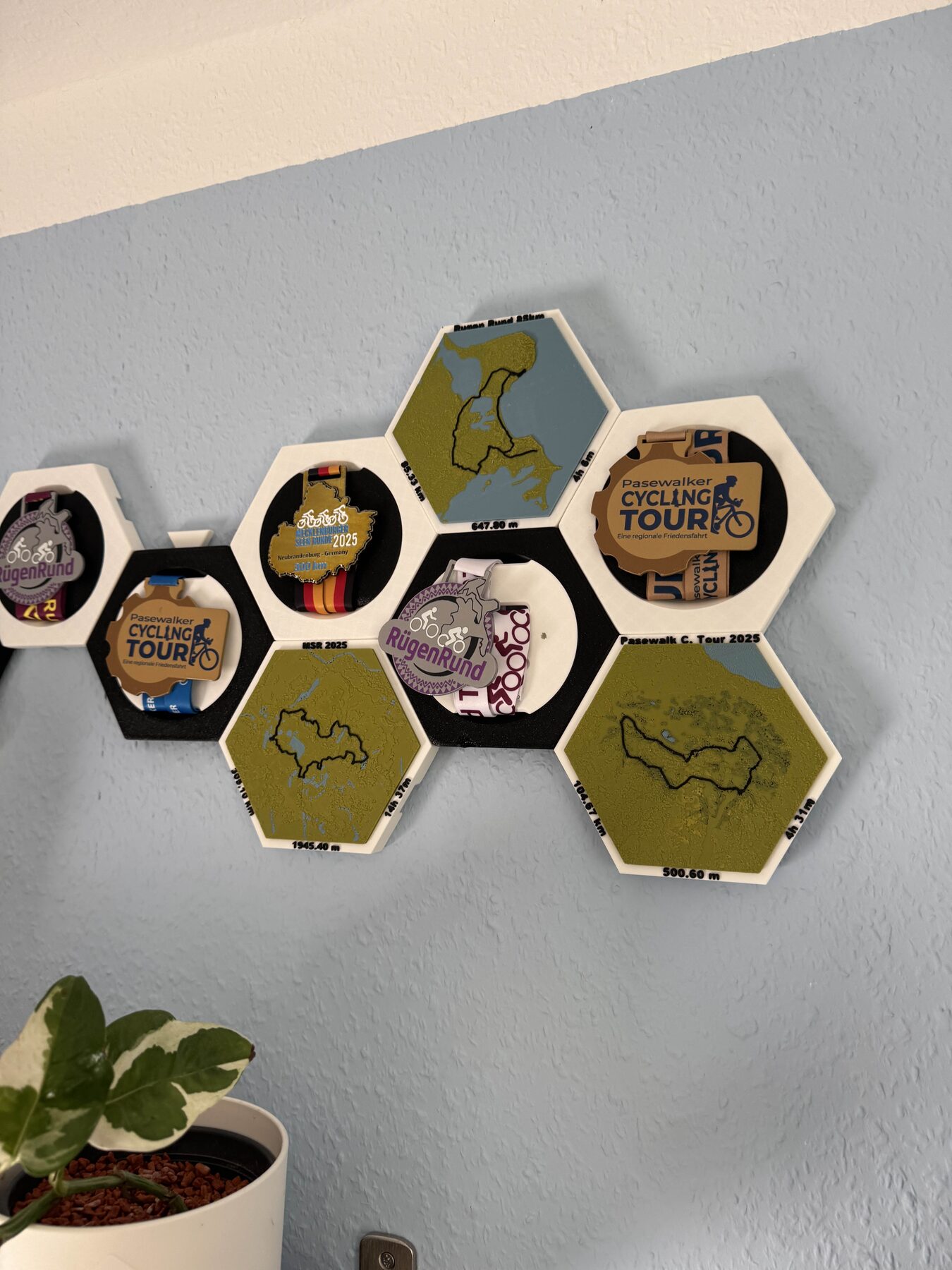 Medal Wall